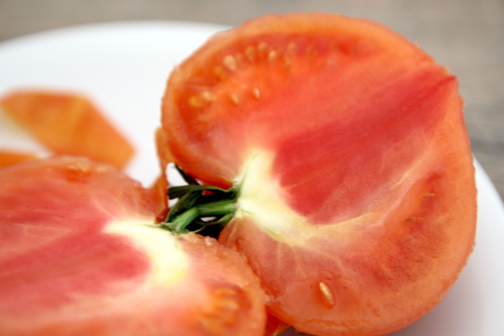 Tartare tomate 9